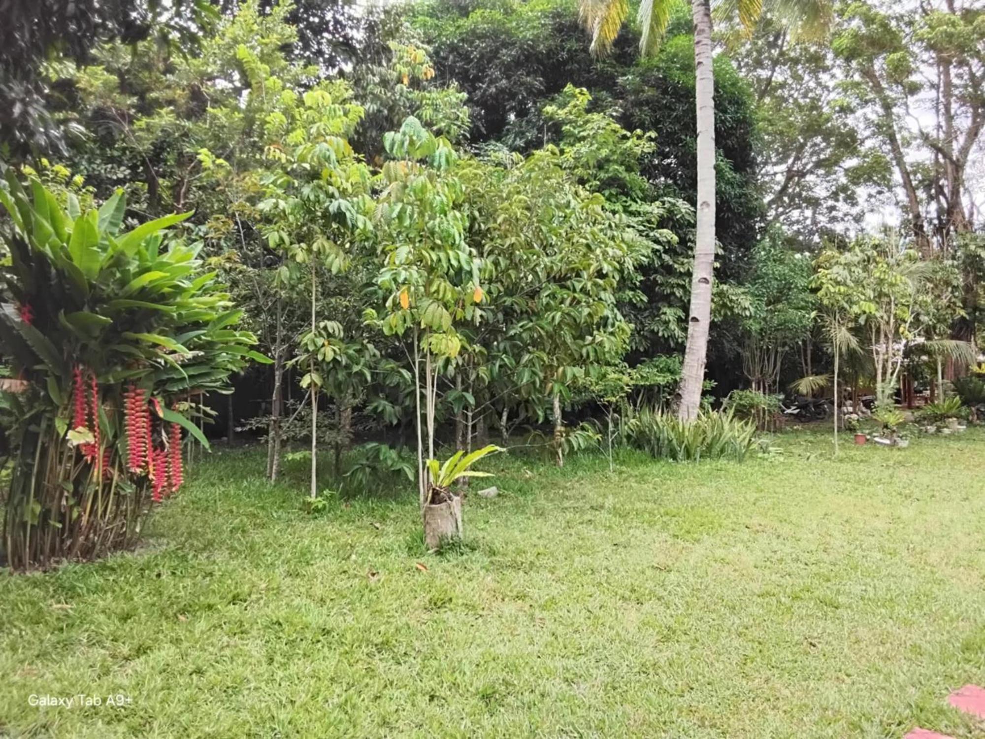 Camiguin Lanzones Resort Mambajao Esterno foto